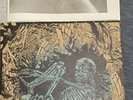 Ceschi Pat The Bunny Split Vinyl