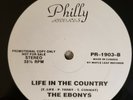 THE EBONYS Life In The Country / It's Forever PROMO 12