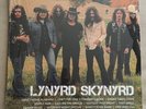 LYNYRD SKYNYRD ICON LP NEW SEALED 2 LP FREE BIRD LIVE GEFFEN HITS BEST 2 LP SET