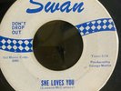 Rare Beatles Blue Print Swan 45-W/PS   