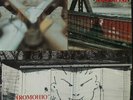 FIREHOSE - FROMOHIO LP - Vinyl Record SEALED NEW SST MIKE WATT Minutemen