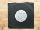 The Young Gods: Did You Miss Me  / The Irrtum Boys Exceptionally Rare 7” Single: