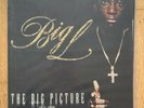 Big L - The Big Picture (Vinyl)