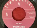 Mike Adame Y Barrio - Chicanita - Symphonical - RARE MODERN CHICANO SOUL 45 HEAR