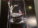 Panic  At The Disco All My Friends We’re Glorious Death Of A Bachelor Tour Vinyl