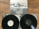 IF THESE TREES COULD TALK THE BONES OF A DYING WORLD 2 LP Vinyl Records