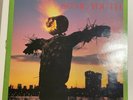 Sonic Youth Bad Moon Rising LP HMS016 1985 Original Vinyl Rare Homestead Records