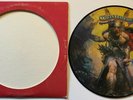 Molly Hatchet - Flirtin' With Disaster - 1979 - Epic - LP - Picture Disc - Promo