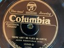 Columbia 15348D Akins Birmingham Boys AINT NO FLIES ON...  Country 78rpm 1928 E+