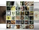 Pearl Jam No Code Ten Club Clear Vinyl sealed 2021