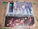 The Paul Butterfield Blues Band 1965 Elektra EKS-7294 Stereo Gold Label VG VG+