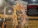 Iron Maiden-Self Titled Limited Edition  Picture Disc (2012)