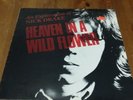 Heaven In A Wild Flower - An Exploration Of Nick Drake Vinyl LP Comp 33rpm 1985