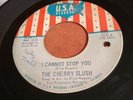 RARE The Cherry Slush I Cannot Stop You USA 45 G
