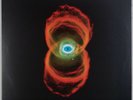 PEARL JAM: Binaural 2017 Press 2x LP Vinyl Alternative Rock Grunge