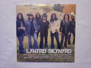 Lynyrd Skynyrd - Icon (Hits) - SEALED 2020 Southern Blues Rock 2LP  PERFECT