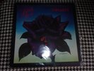 THIN LIZZY THE BLACK ROSE ALBUM 1979 IST PRESS