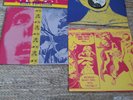 Jon Spencer Blues Explosion Plastic Fang LP