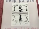 Deep Purple Rapture Of The Deep Double Vinyl Album Very Rare Purple Vinyl Marble