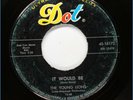 YOUNG LIONS Doo Wop 45rpm It Would Be b/w Little Girl HEAR