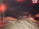 Hayley Williams (Paramore) Flowers For Vases CLEAR Vinyl LP Indie Shop Exclusive
