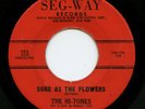 '61 R&B/Doo Wop HI-TONES Sure As The Flowers/Girls     Rare Seg-Way Label Orig