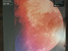 Kid Cudi ?– Man On The Moon The End Of Day VMP ROTM Purple Brown Marble 2x Vinyl