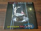 PANIC AT THE DISCO- All my Friends we're glorious Death of a Bachelor Vinyl rar