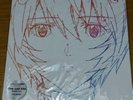 One Last Kiss Hikaru Utada Limited Theatrical Eva Record LP w/Mega Jacket