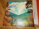 Tame Impala Innerspeaker 2010 - 2020 4LP Vinyl Special Edition