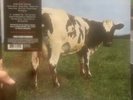 Pink Floyd - Atom Heart Mother (180g, Remastered, Sealed/ New)
