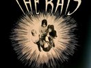 THE RATS – THE RISE AND FALL OF BERNIE GRIPPLESTONE… - UK – LTD LP – 1995–GARAGE