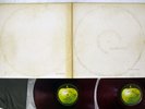 BEATLES WHITE ALBUM APPLE AP-8570,1 Japan RED VINYL POSTER VINYL 2LP