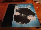THE CHILLS - Submarine Bells - Lp - 1990 - 1st press - Flying Nun  Bats  Clean