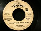 PLAIDS Hungry For Your Love / Chit-Chat Doo Wop R&B Promo 45 Orig.