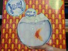Jellyfish Live at Bogart's 2LP Translucent Blue + Laser Etch New & Sealed
