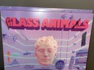 Glass Animals Dreamland Limited Edition Signed Vinyl LP Sleeve + Sealed Vinyl