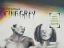 THE FRONT BOTTOMS Going Grey LP VINYL 2017 NEW SEALED SHIPS NOW