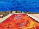 SIGNED Californication Vinyl by Red Hot Chili Peppers Anthony Kiedis Flea Chad