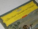 DGG RED Stereo 136462 LPEM Rita Streich Cradle & Folksongs 8/64 ED1 NM Tulip
