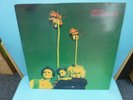 THE GUN CLUB - Miami - Rare UK 1st LP 1982 - (Animal Records) - Post-Punk - EX