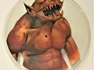 METALLICA Jump in the Fire Original RARE UN CUT Shaped Picture Disc