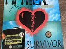 Fifteen - Survivor Vinyl Double LP