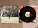 Matt Corby - Rainbow Valley Vinyl LP
