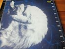 CHAPTERHOUSE Whirlpool 1991 UK VINYL LP DEDICATED 1st + BONUS 12