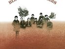 Blood Sweat & Tears by Blood Sweat & Tears (Record, 2015)