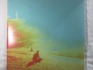 The Terror by The Flaming Lips (Vinyl Record, 2013)