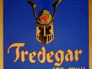 Tredegar Tredegar (Re-Mix) NEAR MINT Nibelung Records Vinyl LP