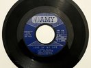 THE BREAKERS Don't Send Me No Flowers RARE MEMPHIS GARAGE 1965 Worn Plays HEAR