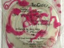 The Cure 7